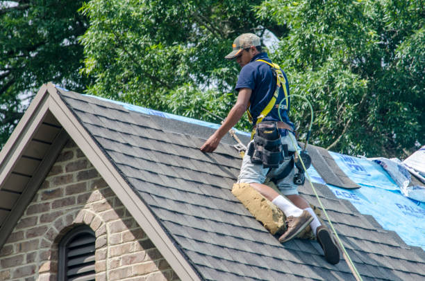 Best Shingle Roofing Installation  in Three Oaks, FL